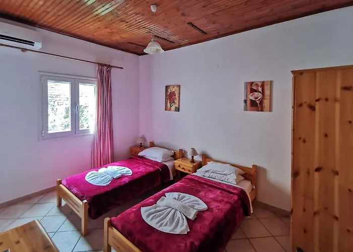 Elena Villa *